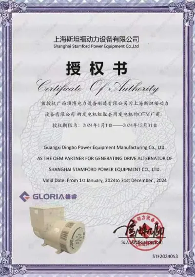 Certificado de autorização OEM do alternador Shanghai STAMFORD