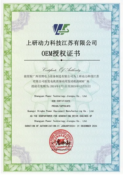 Certificado de autorização OEM do motor diesel Shangyan Power